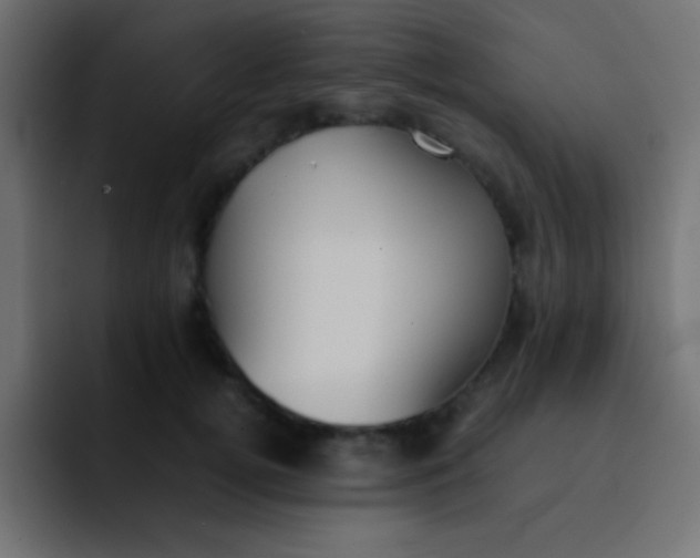 X0000092100752200710031212