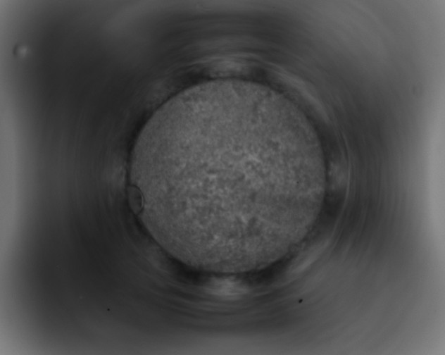 X0000092100753200710031212