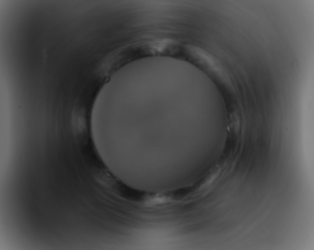 X0000092100754200710031212