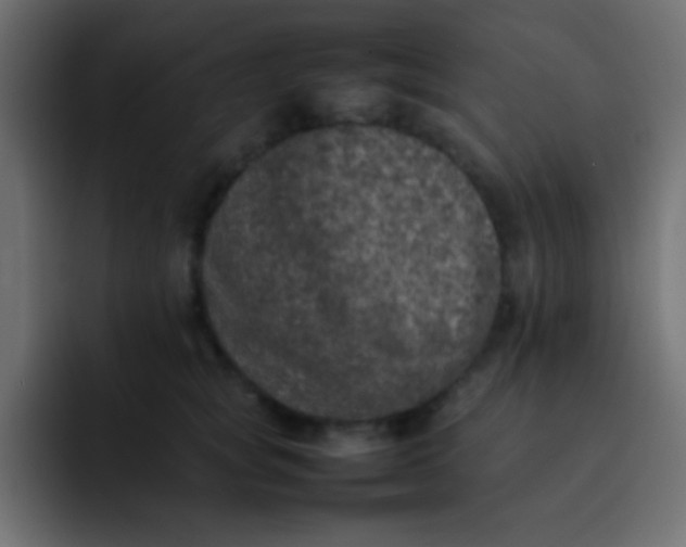 X0000092100757200710031212