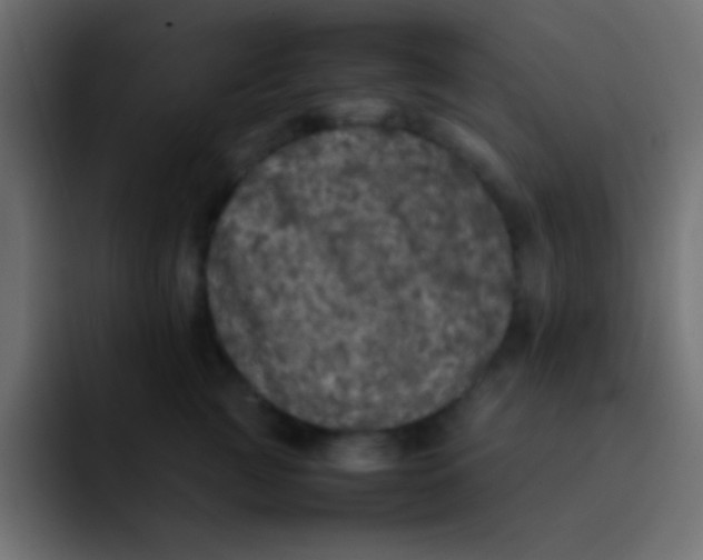 X0000092100761200710031212