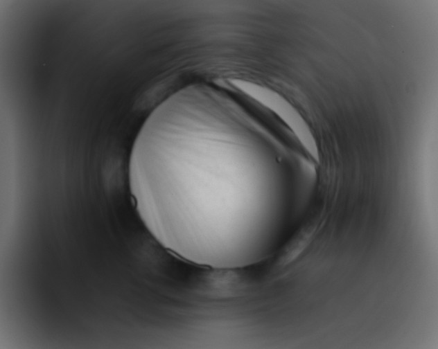 X0000092100762200710031212