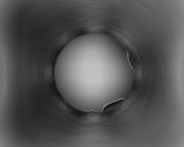 X0000092100764200710031212