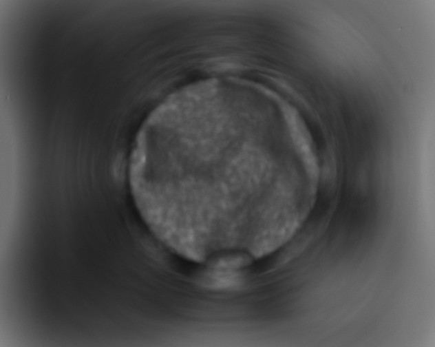 X0000092100767200710031212