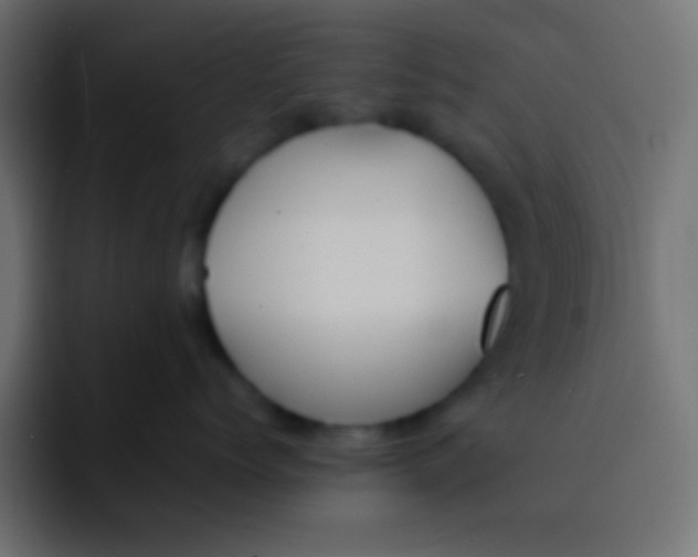 X0000092100768200710031212