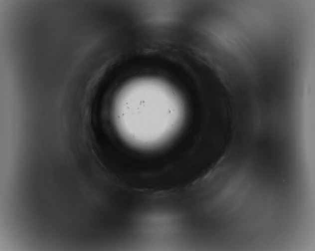 X0000092100769200710031212