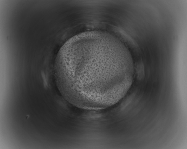 X0000092100770200710031212