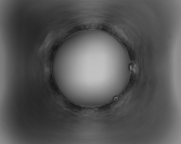 X0000092100771200710031211