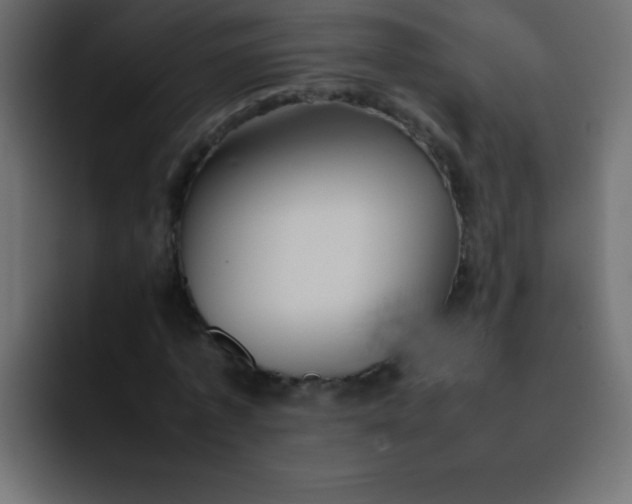 X0000092100773200710031211