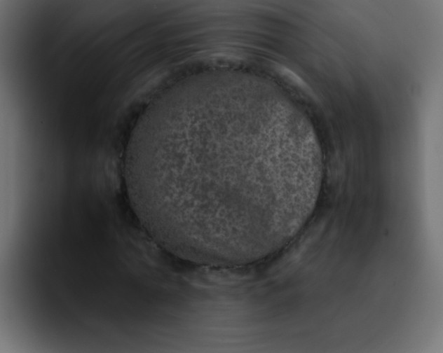 X0000092100774200710031211