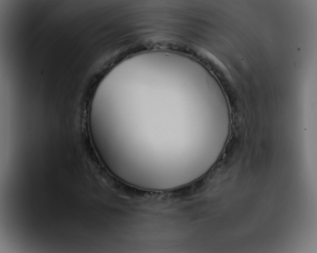 X0000092100775200710031211