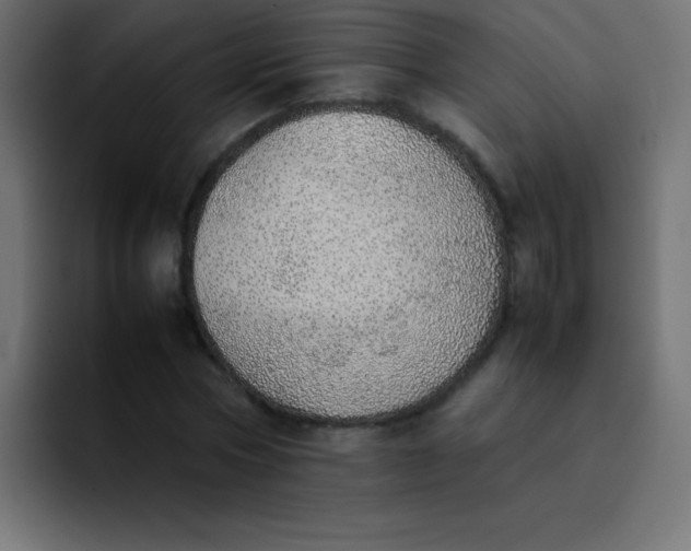 X0000092100778200710031211