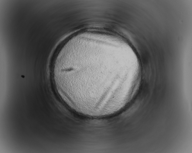 X0000092100779200710031211