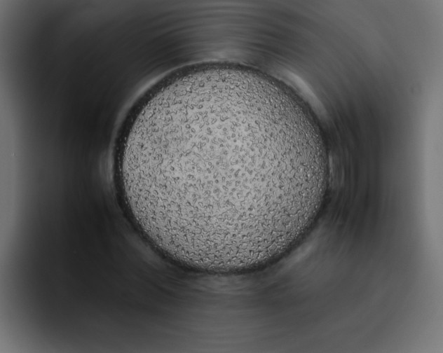 X0000092100780200710031211