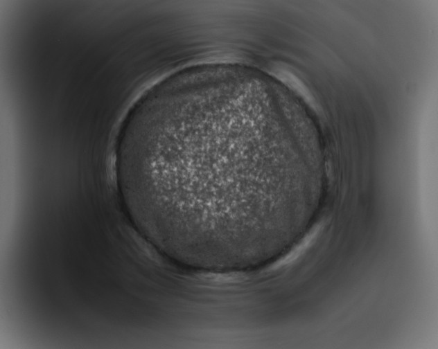 X0000092100781200710031211