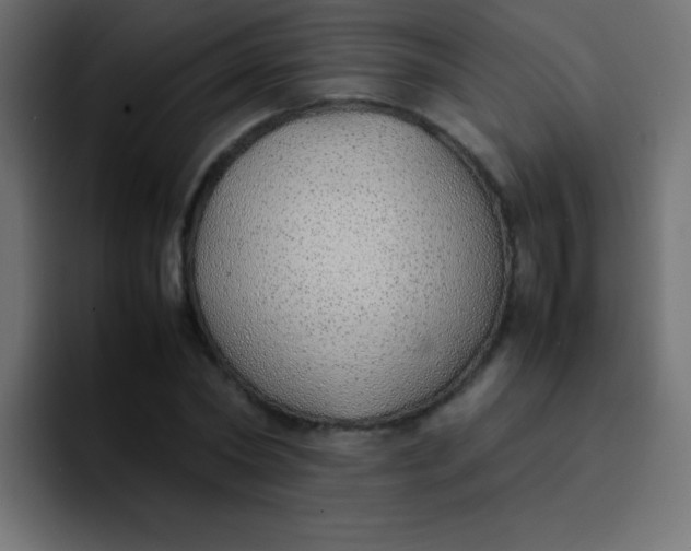 X0000092100782200710031211