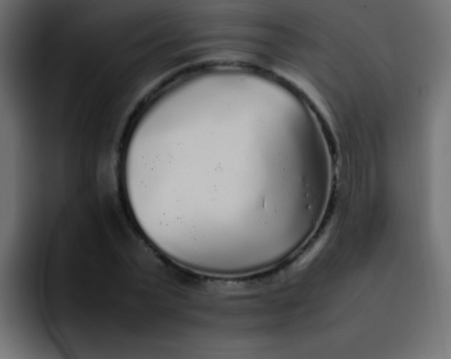 X0000092100783200710031211