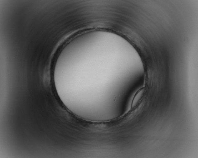 X0000092100784200710031211