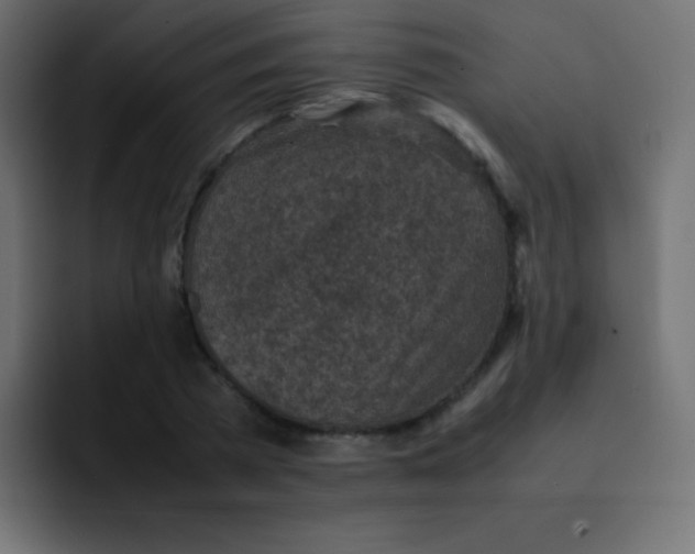 X0000092100785200710031211