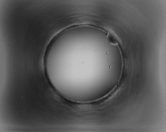 X0000092100789200710031211