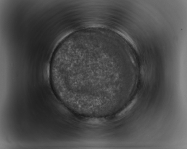 X0000092100790200710031211