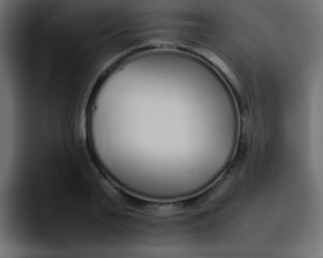 X0000092100791200710031211