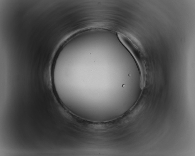 X0000092100792200710031211