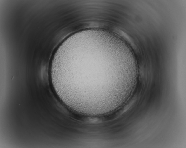 X0000092100794200710031211