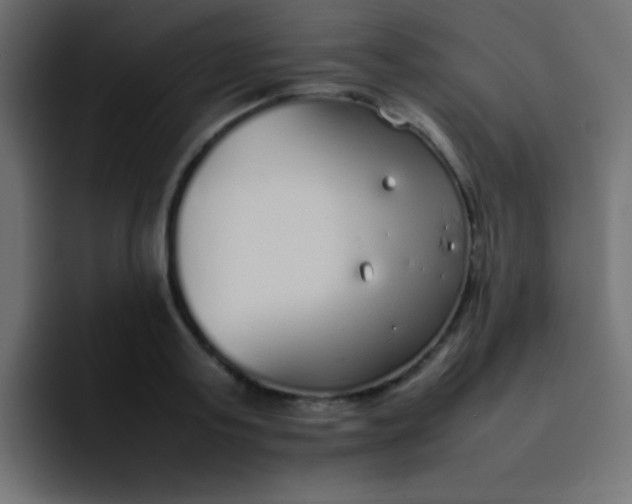 X0000092100795200710031211