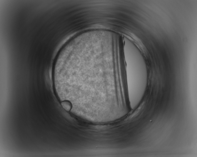 X0000092100796200710031211