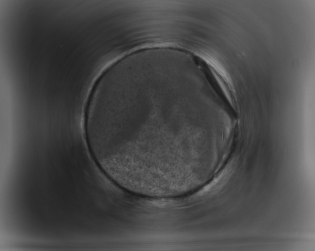 X0000092100797200710031211