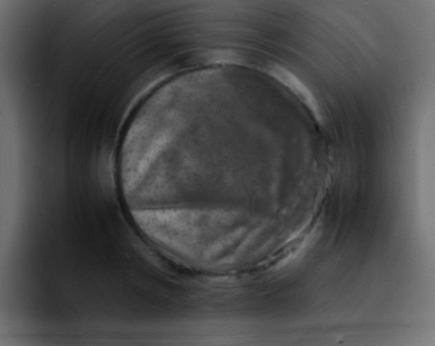 X0000092100798200710031211