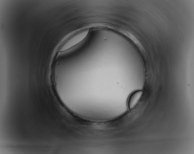 X0000092100799200710031211