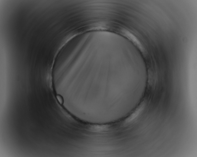 X0000092100802200710031211