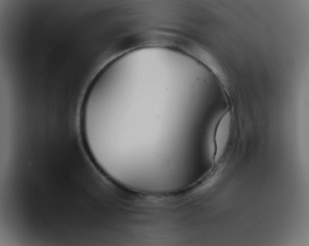 X0000092100803200710031211