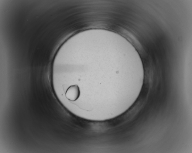 X0000092100804200710031211