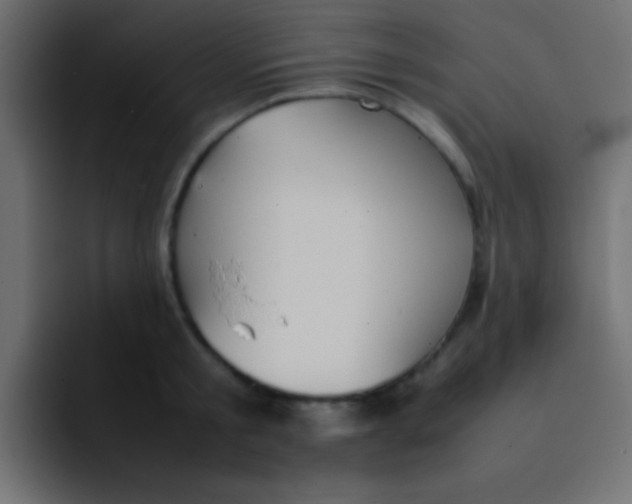 X0000092100805200710031211