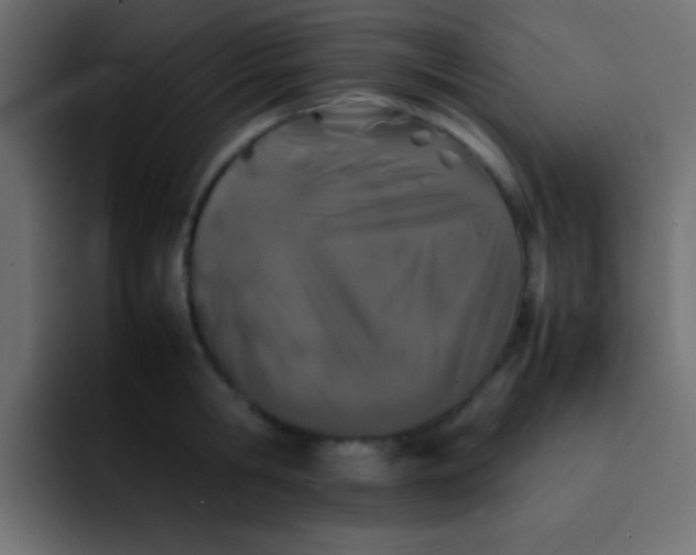 X0000092100806200710031211