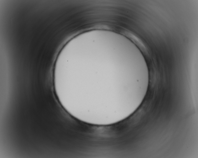 X0000092100808200710031211