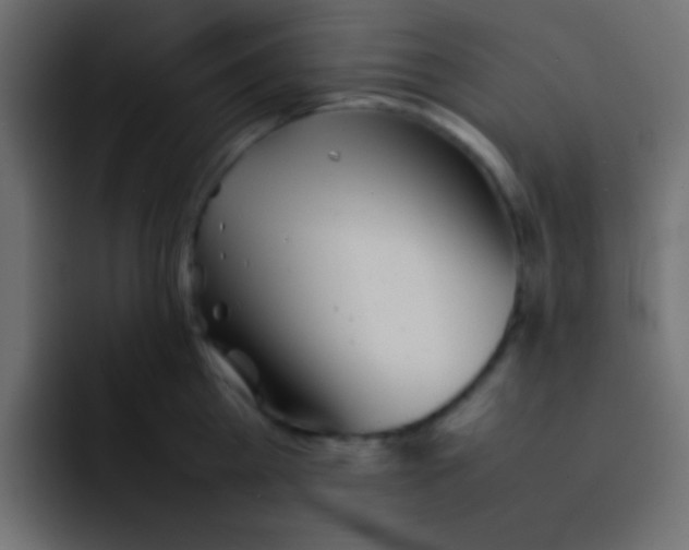 X0000092100809200710031211