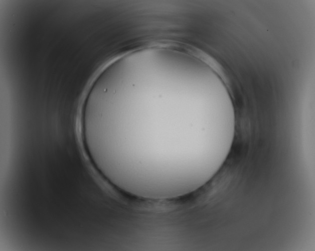 X0000092100811200710031211