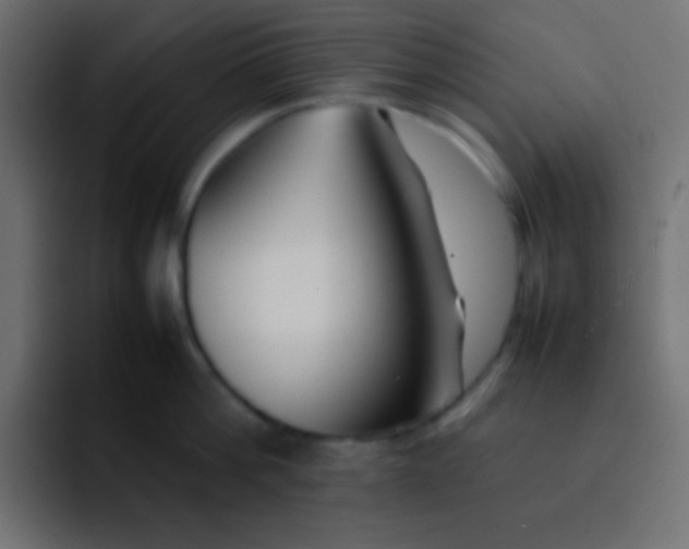 X0000092100812200710031211