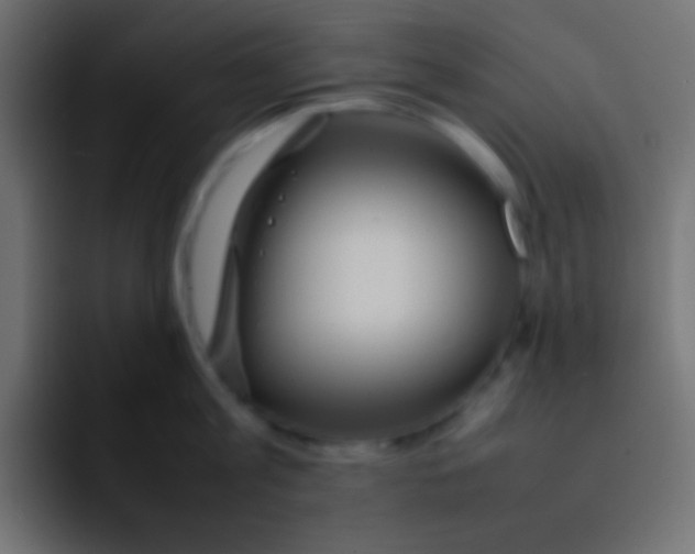 X0000092100813200710031211