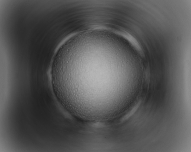 X0000092100814200710031211