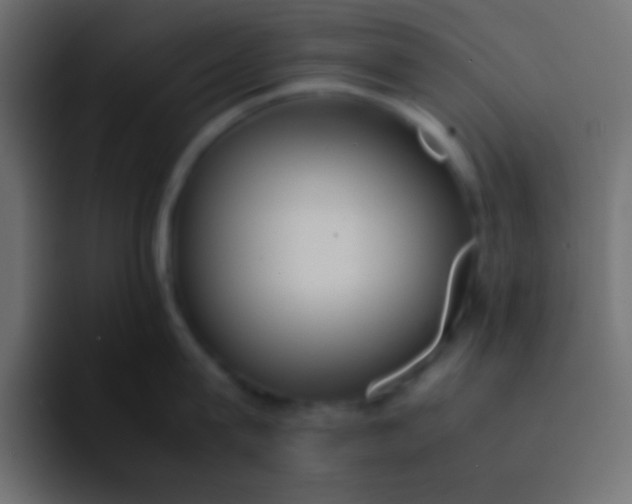 X0000092100815200710031211