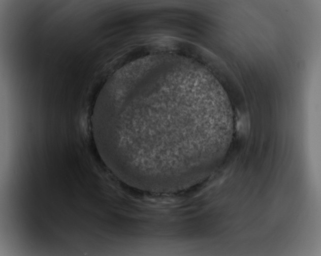 X0000092100819200710031210