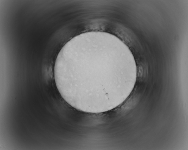 X0000092100820200710031210