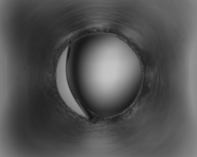 X0000092100822200710031210