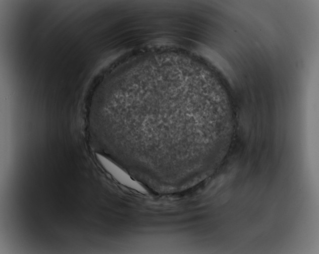 X0000092100823200710031210