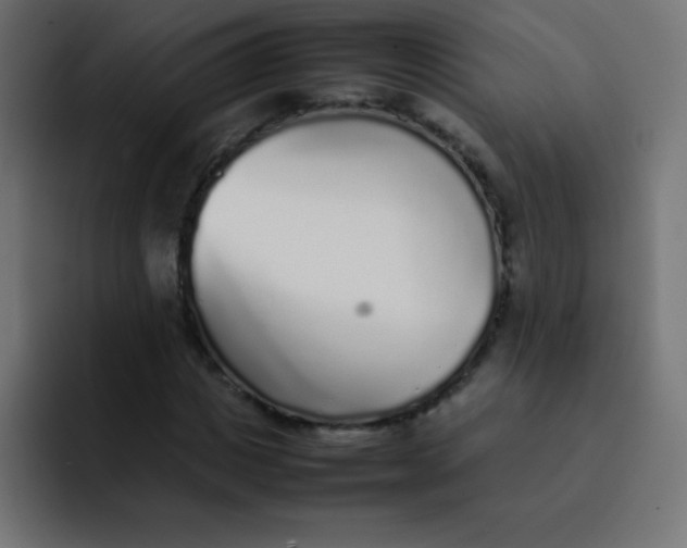 X0000092100825200710031211